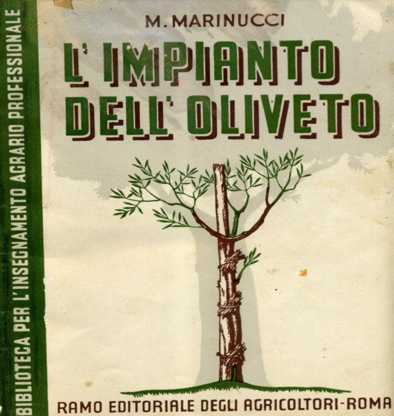 Estratto Impianto dell oliveto 1950 di Marinucci (1)